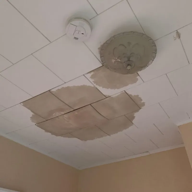 Ceiling Water Damage Repair in Perry County, AR