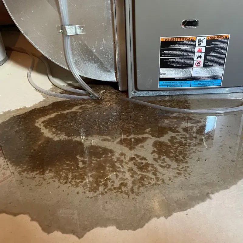 Pipe Burst and Leak Restoration in Perry County, AR
