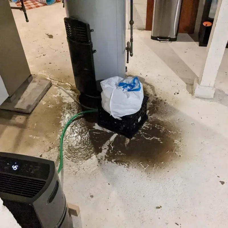 Sewage Backup Cleanup Service in Perry County, AR